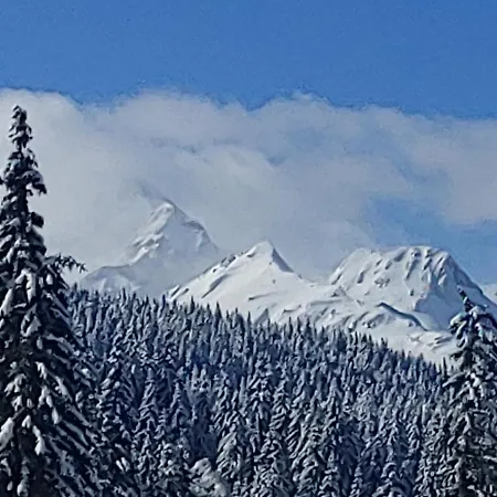 Pokljuka Zgornje Gorje
