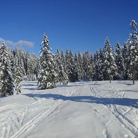 펜션 Pokljuka 지고르니예 고르예