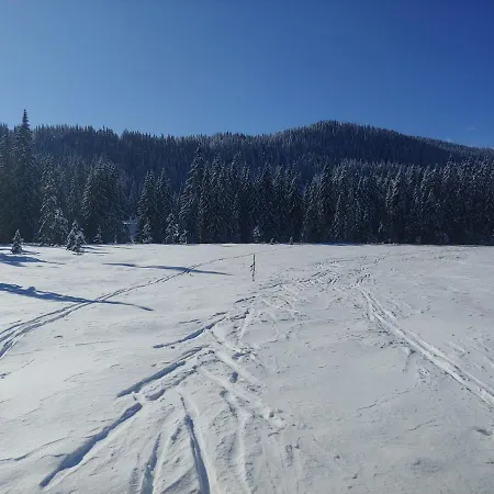 Pokljuka * Zgornje Gorje
