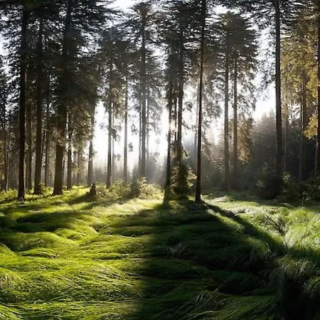 Pokljuka Nyaraló Zgornje Gorje