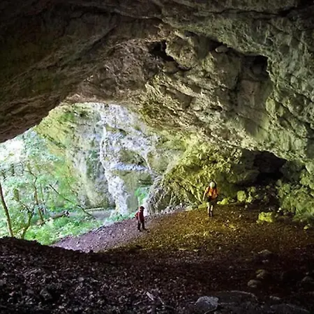 Pokljuka Tatil Evi Zgornje Gorje