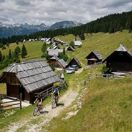 Pokljuka * Zgornje Gorje