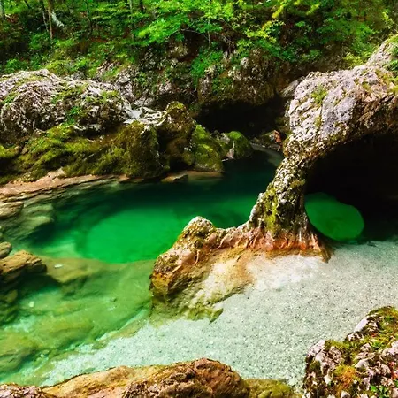 Pokljuka Nyaraló Zgornje Gorje