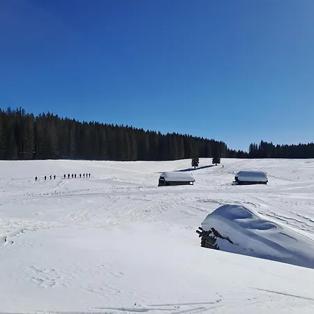 Pokljuka Holiday home Zgornje Gorje