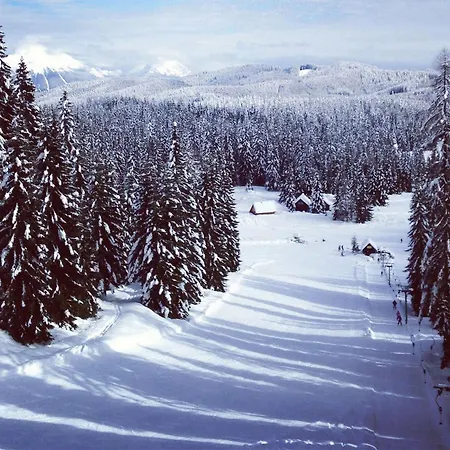 Pokljuka *