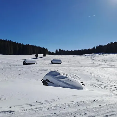 Nyaraló Pokljuka Zgornje Gorje