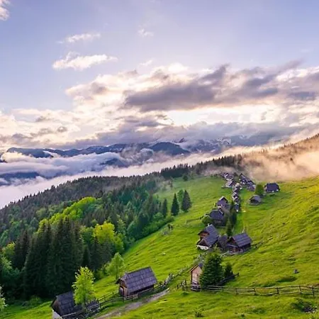 Pokljuka