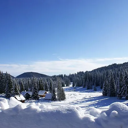 Pokljuka Holiday home *