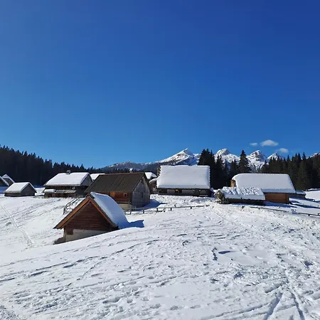 Pokljuka * Zgornje Gorje