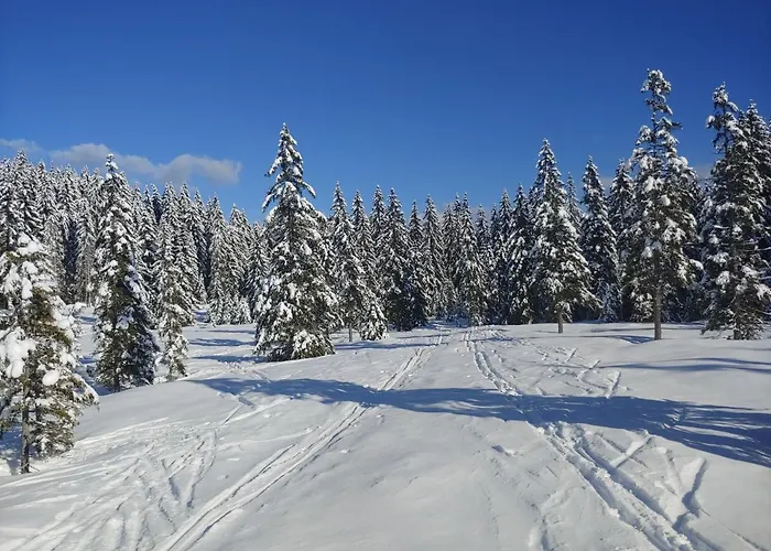 Holiday home Pokljuka Zgornje Gorje