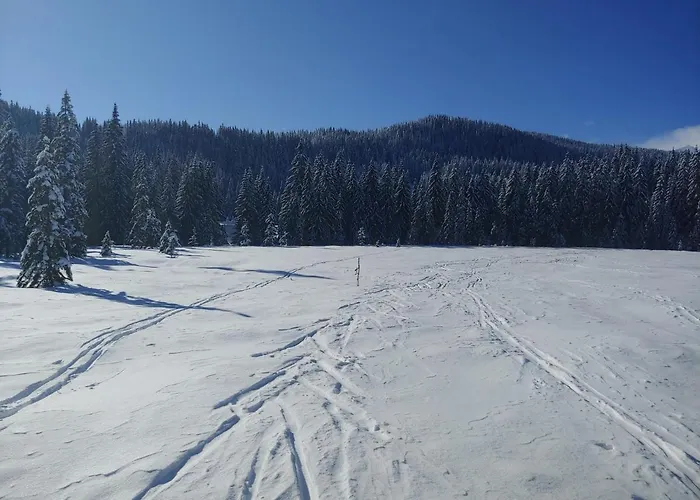 Pokljuka * Zgornje Gorje