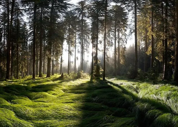 Pokljuka Holiday home Zgornje Gorje
