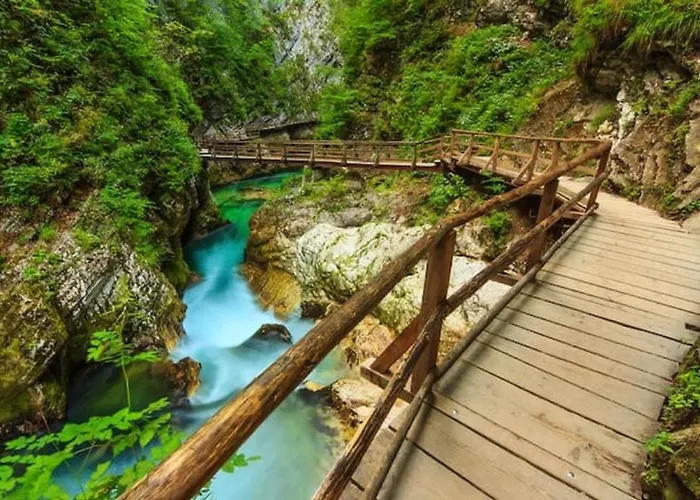 Pokljuka * Zgornje Gorje