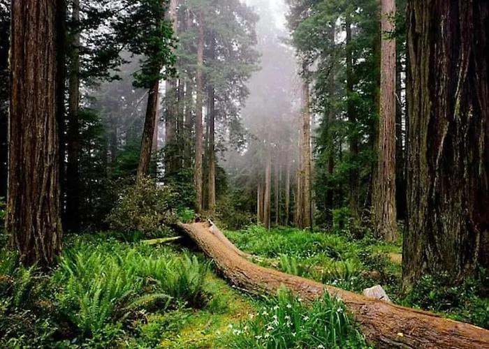 Holiday home Pokljuka Zgornje Gorje
