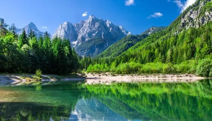 Holiday home Pokljuka *