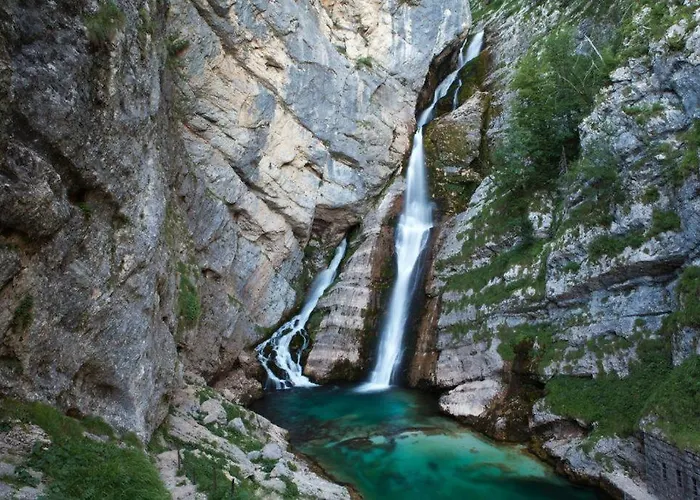 Pokljuka Holiday home *