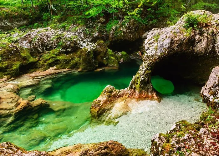 Pokljuka Holiday home Zgornje Gorje