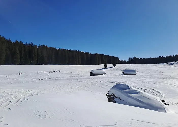 Pokljuka Holiday home Zgornje Gorje