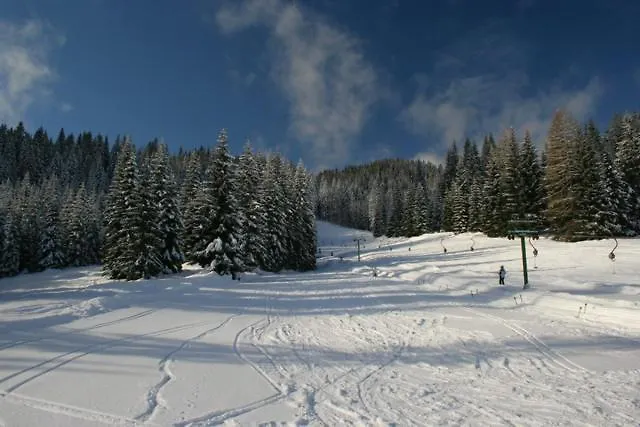 Pokljuka Holiday home