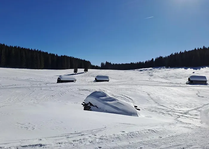 Holiday home Pokljuka Zgornje Gorje