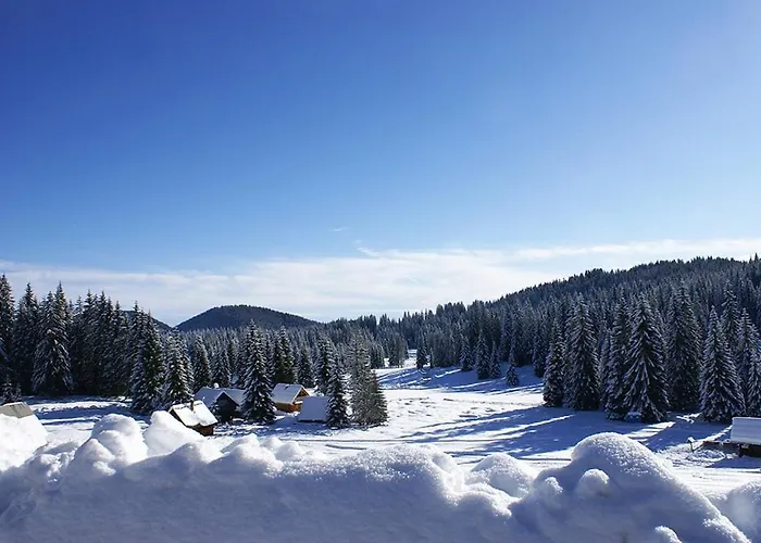 Pokljuka Holiday home *